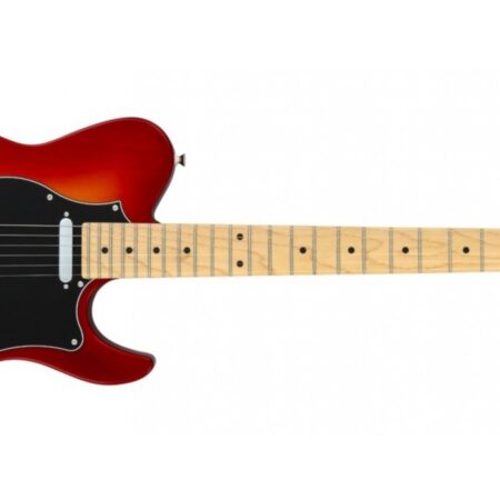 FGN Electric Guitar
